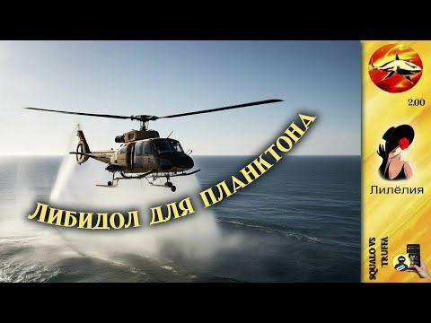 Видео: Телефонное мошенничество. Автор - Лилёлия.