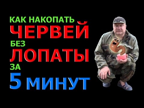 Видео: Как накопать ЧЕРВЕЙ без ЛОПАТЫ за 5 минут.