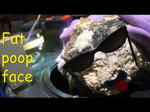 Видео: Kempinger 267 Массивная потеря давления воды в кормах и вылов старых 5-килограммовых кусков жира