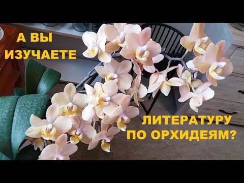 Видео: А ВЫ ИЗУЧАЕТЕ СПЕЦИАЛЬНУЮ ЛИТЕРАТУРУ ПО ОРХИДЕЯМ?..КРАСОТКИ ЛОБЕЛИИ НА БАЛКОНЕ