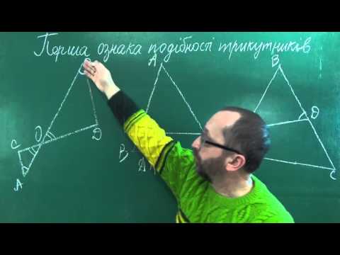 Видео: g081201 Перша ознака подібності трикутників 1 - Геометрія 8 клас