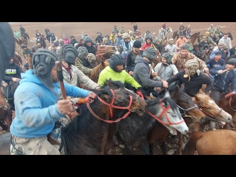 Видео: БУЗКАШИ | ЧИЛДАРА ПАШОР | ДАВОМ ДОРАД |