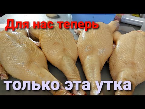 Видео: Теперь только эта утка! Утка СК-6, Гуси Линда, Ред Бро и индюки Хайбрид Конвертер