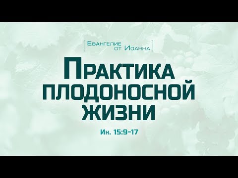 Видео: Ев. от Иоанна: 85. Практика плодоносной жизни (Алексей Коломийцев)