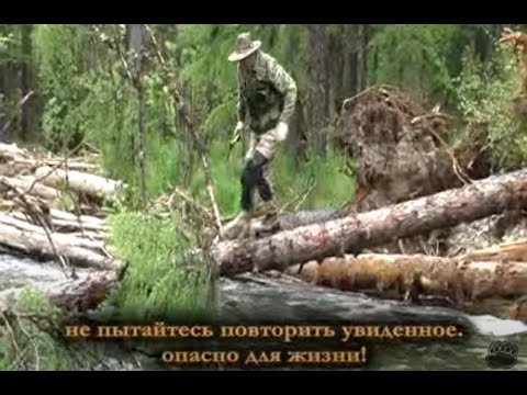 Видео: РЫБОЛОВНЫЕ ПРИКЛЮЧЕНИЯ НА РЕКАХ АЛГОН И СЕЛИТКАН, фильмы клуба Амуртаймень