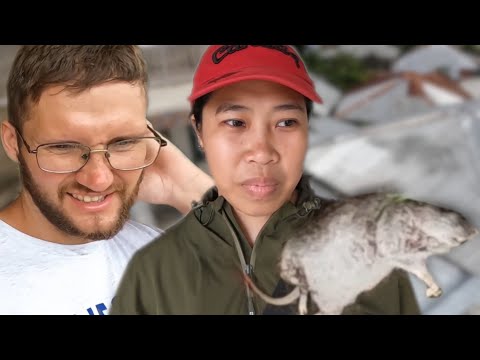 Видео: Ищем бате новое жильё | Сколько стоит поесть в деревне | Жизнь русско-филиппинской семьи
