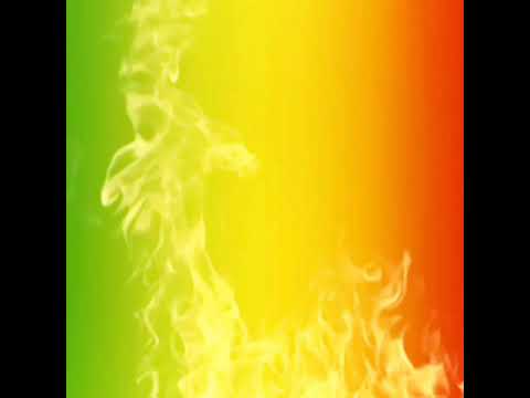 Видео: Слова Растамана 🌈Åквариум.