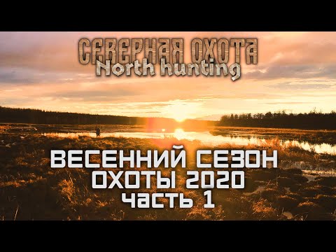 Видео: Весенняя Охота на Уток  Часть 1. СЕВЕРНАЯ ОХОТА - NORTH HUNTING