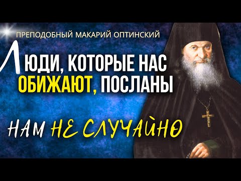 Видео: Ситуация, когда нас Обижают, является...Преподобный Макарий Оптинский
