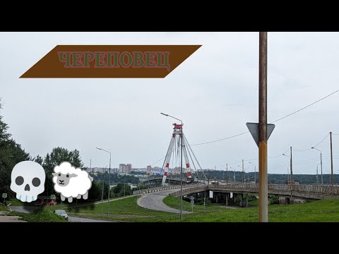 Видео: ЧЕРЕПОВЕЦ💀🐑