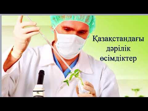 Видео: Қазақстандағы дәрілік өсімдіктер