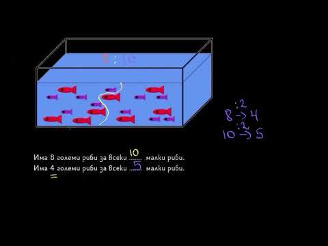 Видео: Текстови задачи за еквивалентни отношения І 6. клас (България) І Кан Академия