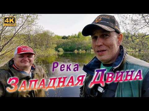 Видео: Спиннинг с берега. Река Западная Двина 2024