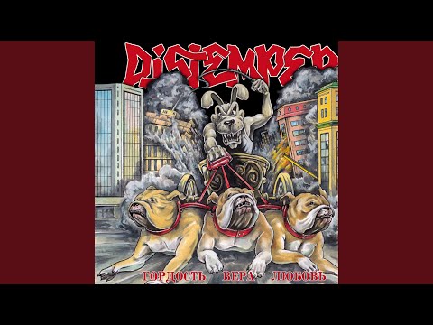 Видео: Мы ножи не носим