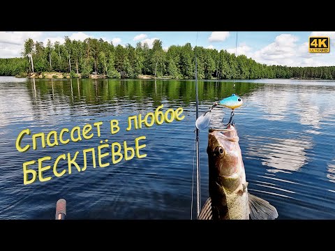 Видео: Эта ПРИМАНКА ЛОВИТ в любое БЕСКЛЁВЬЕ