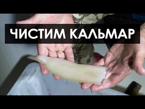 Видео: Как почистить кальмар
