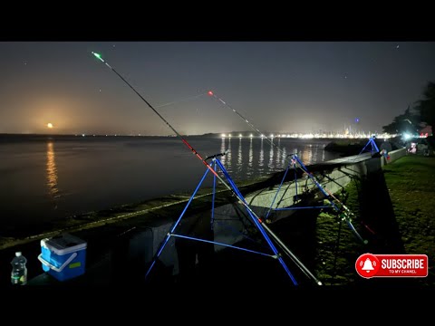 Видео: Ночь экономного отдыха на свежем воздухе