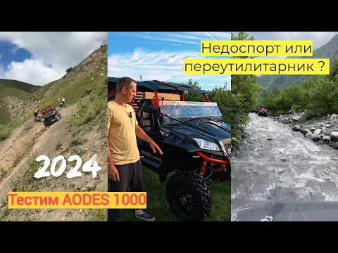 Видео: Багги AODES Sportcross 1000 - ТЫ ЖИВ???