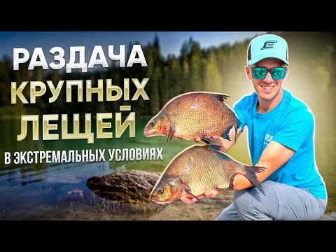 Видео: Жор крупных лещей на водохранилище💪 20кг за 4 часа❗