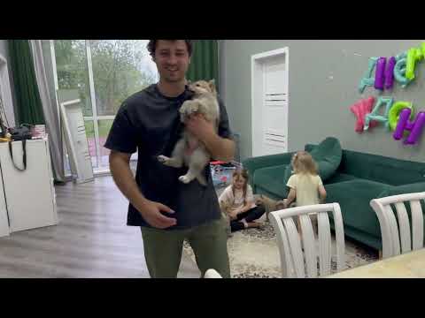 Видео: Взвешивание Арктических Волэндов‼️ 