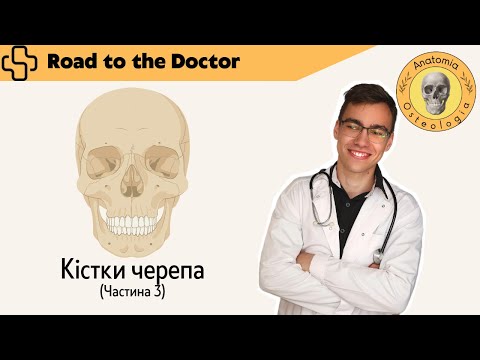 Видео: Кістки черепа | Частина 3 | Кістки лицевого черепа