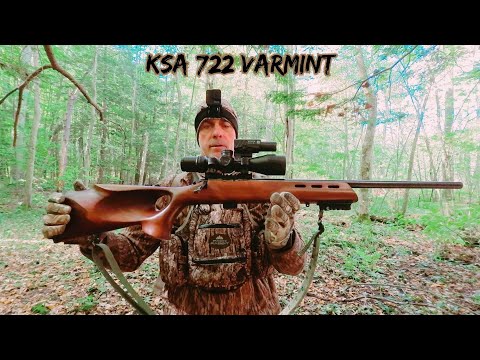 Видео: Охота на белку с винтовкой KSA 722 Varmint Bolt Action 22 || Доступная точность
