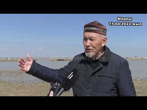 Видео: ОЙЫЛ ӨЗЕНІ МИЯЛЫ 2022 ЖЫЛ