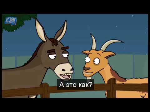Видео: Живой уголок: Панда-парк