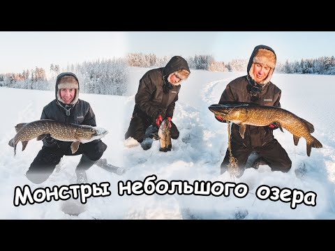 Видео: Монстры маленького озера. В дикий мороз за щукой. Ловля на жерлицы на мелководье.
