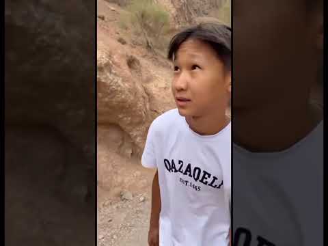 Видео: 31 августа 2025 г.