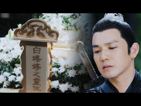 Видео: Принцесса трагически погибла в дикой местности, а принц не выдержал и заплакал!