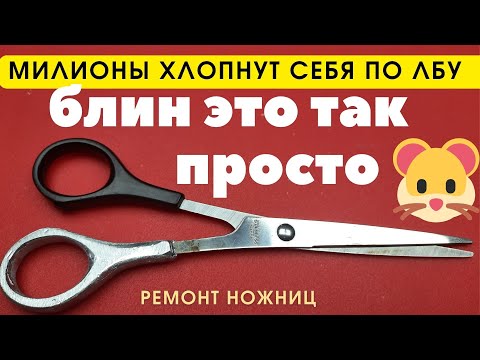 Видео: Мир замер в ступоре  Как мы сами не додумались Это так просто