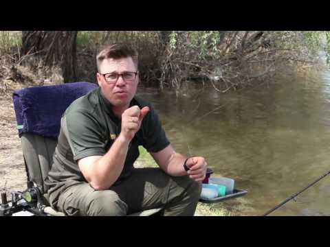 Видео: Фидерная ловля методом Леджеринг