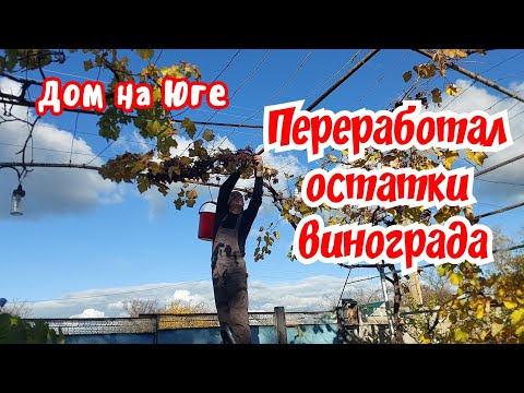 Видео: Дом на Юге.  Продаётся дом.Собрал остатки винограда на сок.