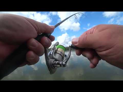 Видео: Щука на спиннинг в августе на реке Обь