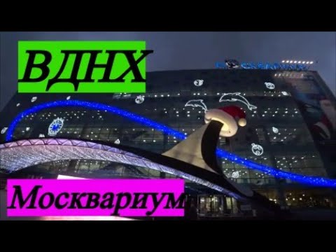 Видео: Москвариум. Культурный Шок от увиденного.