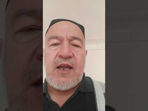 Видео: 13 ноября 2025 г.