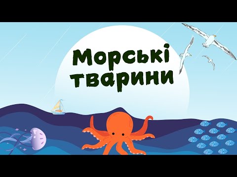 Видео: Морські тварини (ІНФАСОТКА)