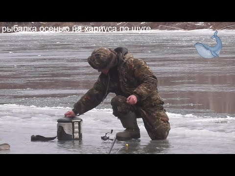 Видео: Ловля хариуса по шуге осенью.