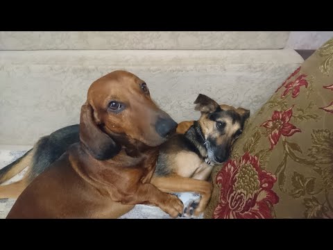 Видео: Мыльница зимы 24-25.  Длиииное видео.