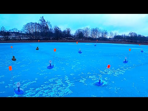 Видео: Начали проверять жерлицы... Первый лед 2021-22.  Рыбалка в Беларуси.