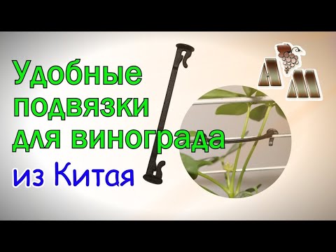 Видео: 🍇  Удобные клипсы для подвязки винограда