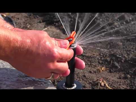 Видео: Как настроить  форсунку для полива mp rotator (Hunter)