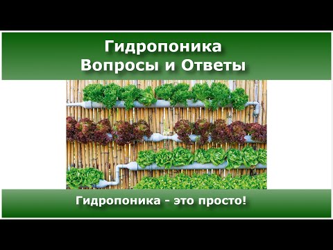 Видео: 🌿Стрим: Ответы на самые частые вопросы о гидропонике🌿, что зачем и как