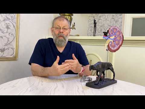 Видео: Кашель. 3 точки спасут от кашля...