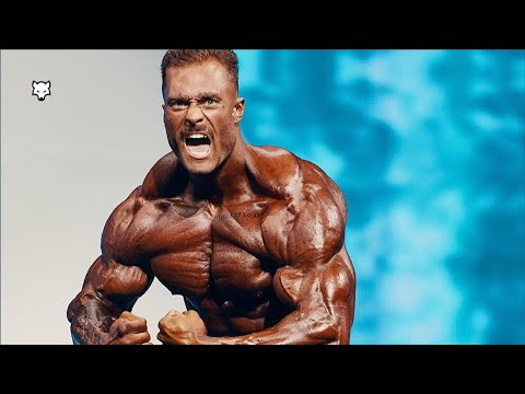 Видео: ЗЛОЙ ВОЛК 🐺 - Крис Бамстед