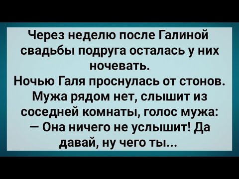 Видео: Когда Жена Легла Спать Кума Залезла На Мужа! Сборник Свежих Анекдотов! Юмор!.