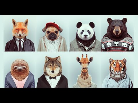 Видео: Типы клиентов: как найти ключик к каждому покупателю?