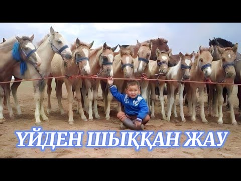 Видео: Үйден шыққан жау #аудиокітап Автор: Әділбек Қаба #әңгімелер