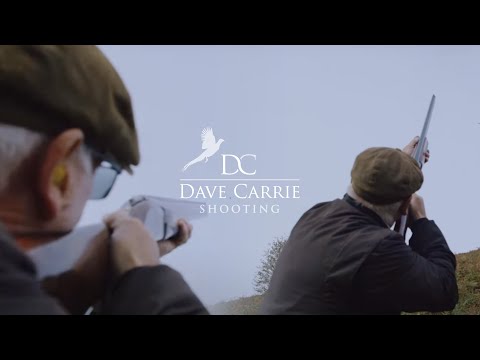 Видео: Пинаем куропаток (стрельба Дэйва Кэрри)